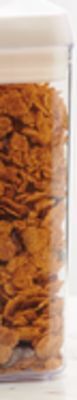Giant Tiger Food storage container offer