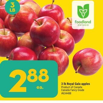 Giant Tiger 3 lb royal gala apples offer