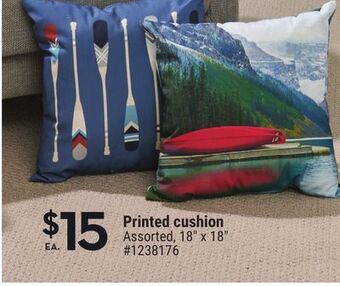 Giant Tiger Printed cushion offer