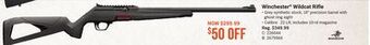 Bass Pro Winchester wildcat rifle offer