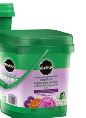 Walmart Miracle-gro water soluble bloom booster plant food offer