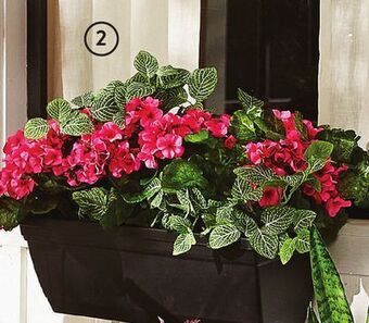 Walmart Hometrends 24 self-water window box offer
