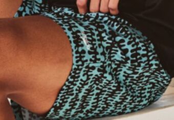 Walmart Men's speedo swim shorts offer