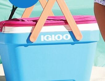 Walmart Igloo 25-qt. picnic cooler offer