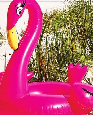 Walmart Flamingo or unicorn pool float offer