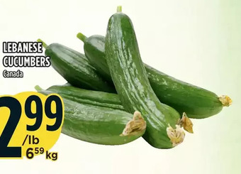 Marché Adonis Lebanese cucumbers offer