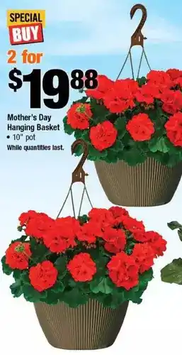 Home Depot Mother's day hanging basket offer