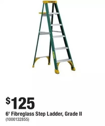 Home Depot 6 ft. grade ii 225 lb. capacity fibreglass step ladder offer