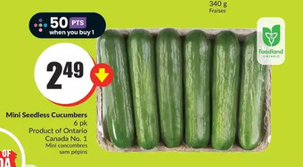 FreshCo Mini seedless cucumbers 6 pk offer