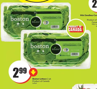 FreshCo Boston Lettuce 2 pk offer