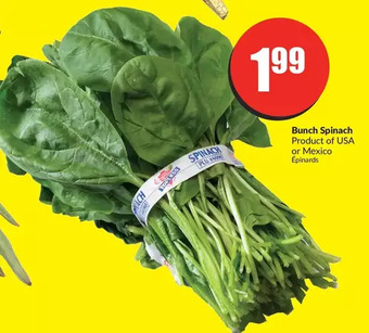 FreshCo Bunch spinach offer