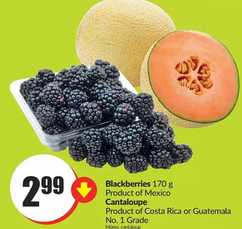 FreshCo Blackberries | cantaloupe offer