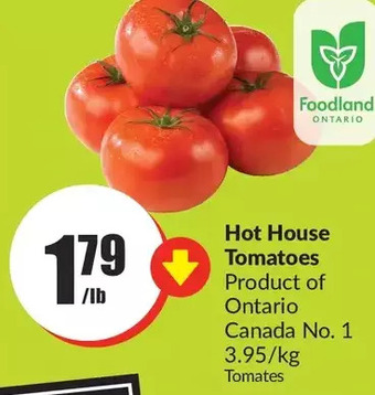 FreshCo Hot house tomatoes offer