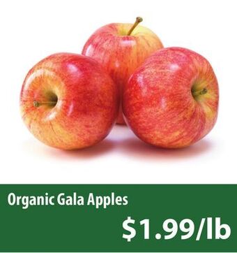 Healthy Planet Organic gala apples offer
