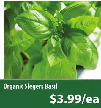 Healthy Planet Organic slegers basil offer