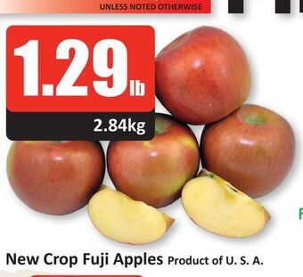 Starsky New crop fuji apples offer