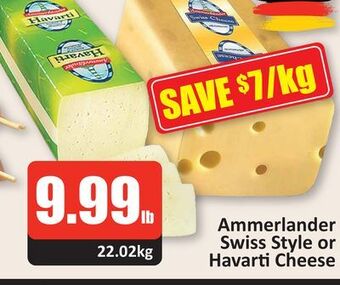 Starsky Ammerlander swiss style or havarti cheese offer
