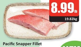 Starsky Pacific snapper fillet offer
