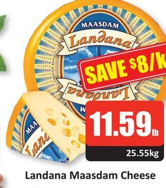 Starsky Landana maasdam cheese offer