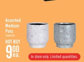 The Brick Assorted medium pots offer