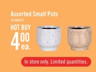 The Brick Assorted small pots offer