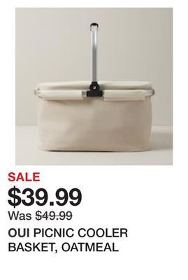Chapters Indigo Picnic cooler basket, oatmeal offer