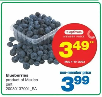 Wholesale Club Blueberries offer