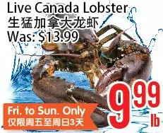 Bestco Food Mart Live canada lobster offer