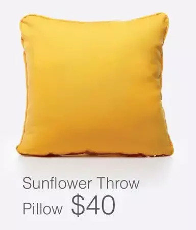 Dot Furniture Sunflower throw pillow offer
