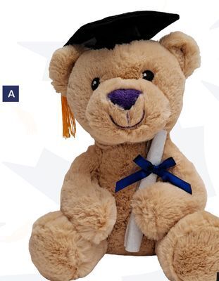 Party City Graduation teddy bear offer