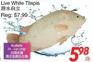 Foody World Live white tilapia offer