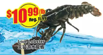 Btrust Supermarket Live lobster offer