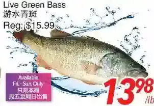 Foody World Live green bass offer