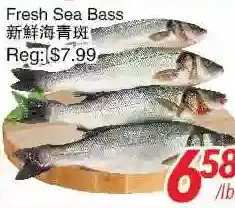 Foody World Fresh sea bass offer