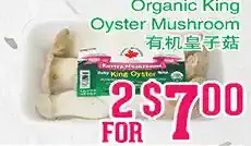 Organic king oyster mushroom