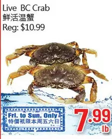 Hong Tai Supermarket Live bc crab offer