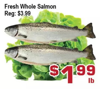 Top Food Supermarket Fresh whole salmon offer