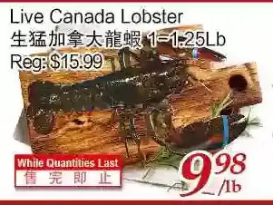 Tone Tai Supermarket Live canada lobster offer