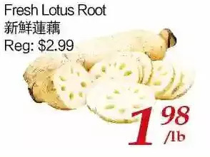 Tone Tai Supermarket Fresh lotus root offer