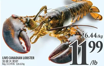 Al Premium Food Mart Live canadian lobster offer