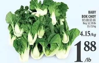 Al Premium Food Mart Baby bok choy offer