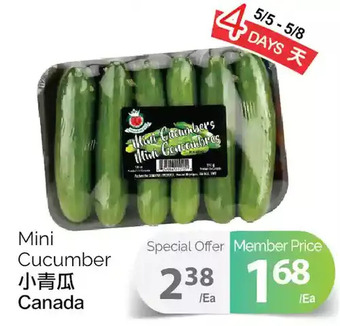 T&T Supermarket Mini cucumber offer