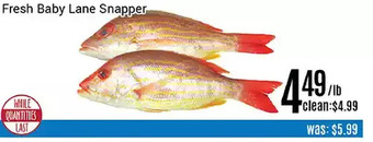 Nations Fresh Foods Fresh baby lane snapper offer