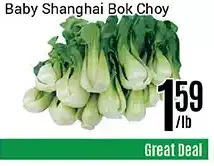 Nations Fresh Foods Baby shanghai bok choy offer