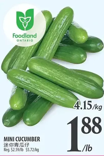 Al Premium Food Mart Mini cucumber offer