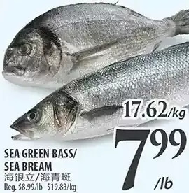 Al Premium Food Mart Sea green bass/sea bream offer