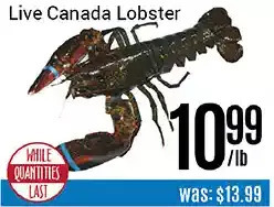 Nations Fresh Foods Live canada lobster offer