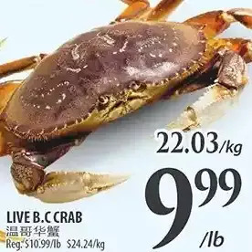 Al Premium Food Mart Live b.c crab offer