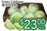 Ample Food Market Green cabbage offer