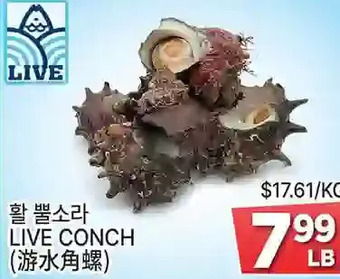 H-Mart Live conch offer